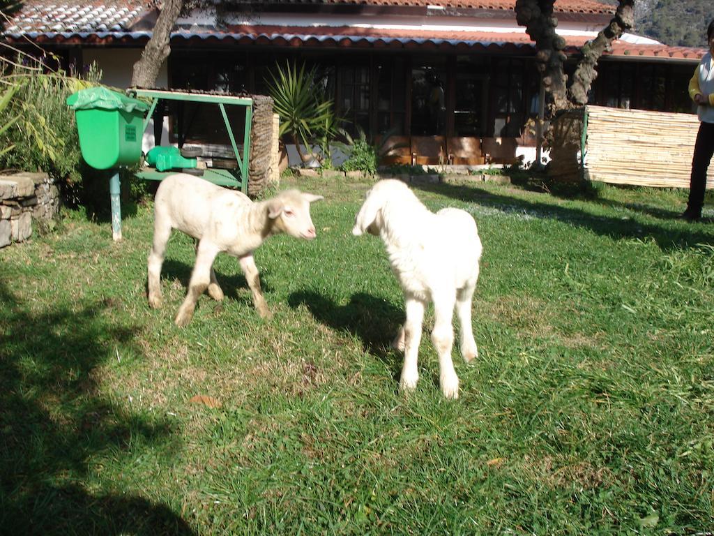 Agriturismo La Vecchia Dolceacquaヴィラ エクステリア 写真